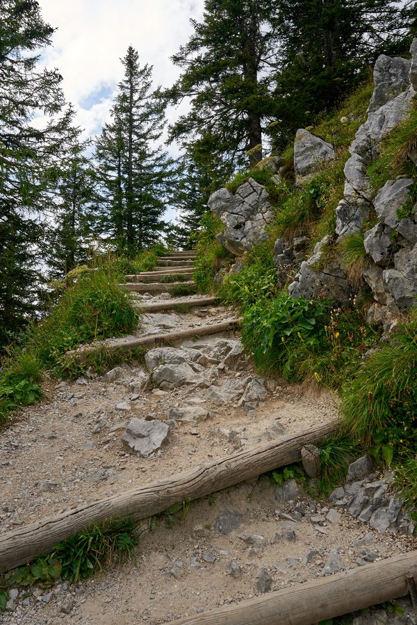 Schönau am Königssee (DE), Jenner, Wanderweg -- 2024 -- 0306