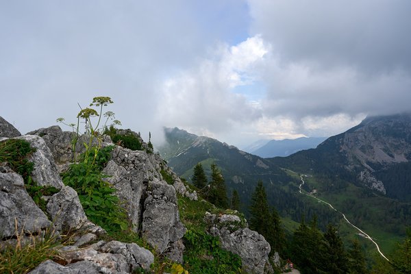 Schönau am Königssee (DE), Königstalalm vom Jenner -- 2024 -- 0407
