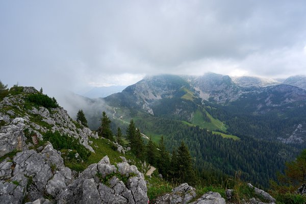 Schönau am Königssee (DE), Königstalalm vom Jenner -- 2024 -- 0416