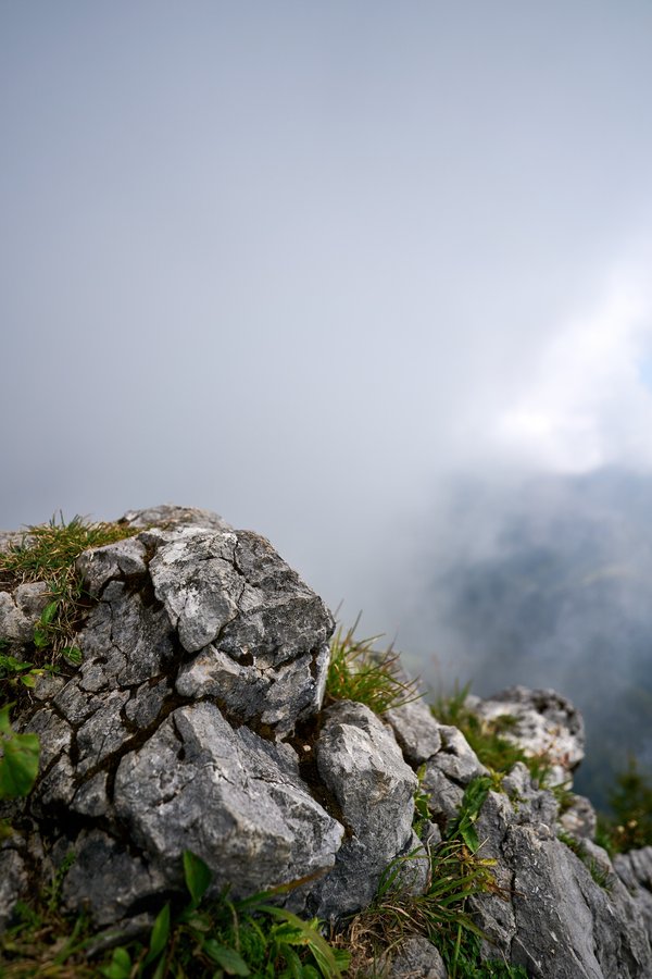 Schönau am Königssee (DE), Jenner, Aussicht -- 2024 -- 0431