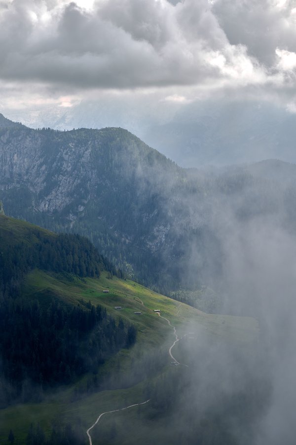 Schönau am Königssee (DE), Priesbergalm vom Jenner -- 2024 -- 0459