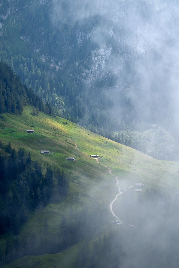 Schönau am Königssee (DE), Priesbergalm vom Jenner -- 2024 --0460