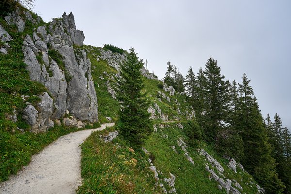 Schönau am Königssee (DE), Jenner, Wanderweg -- 2024 -- 0481