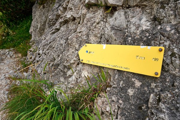 Schönau am Königssee (DE), Jenner -- 2024 -- 0549