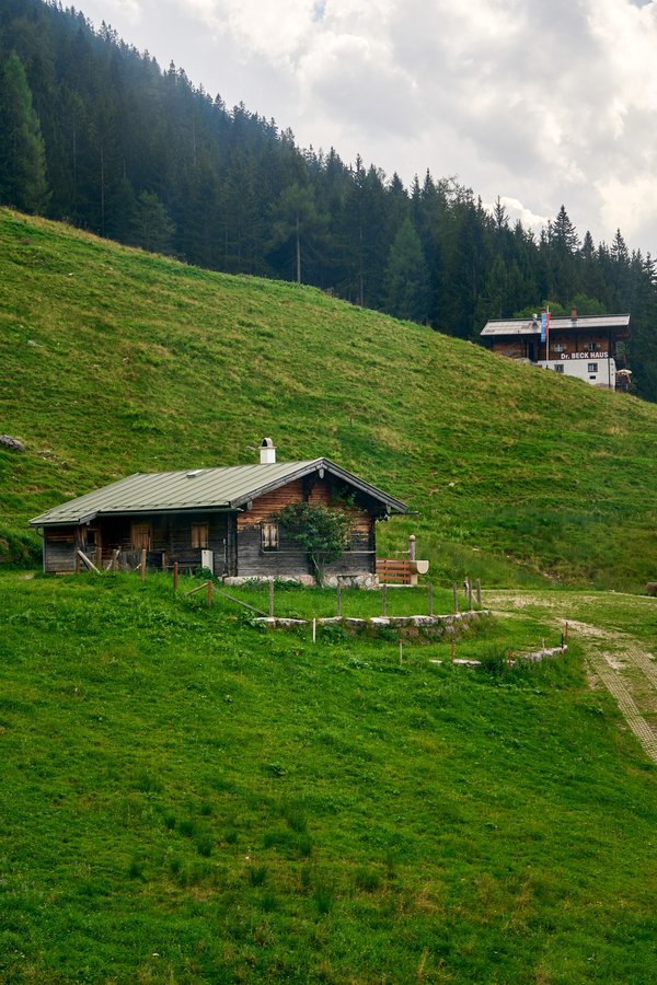 Schönau am Königssee (DE), Vogelhüttenalm -- 2024 -- 0590
