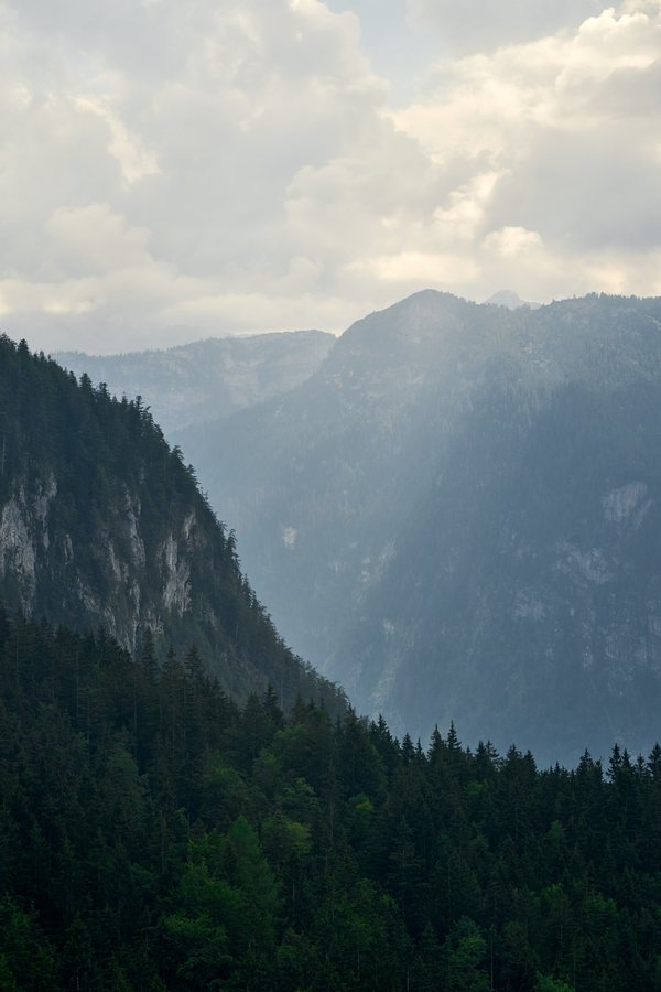 Schönau am Königssee (DE), Königsseetal vom Jenner -- 2024 -- 0626
