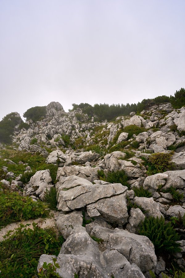 Berchtesgaden (DE), Kehlstein, Mannlgrat -- 2024 -- 0275