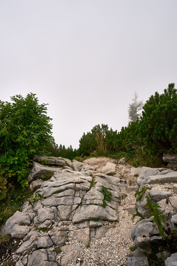 Berchtesgaden (DE), Kehlstein, Mannlgrat -- 2024 -- 0278