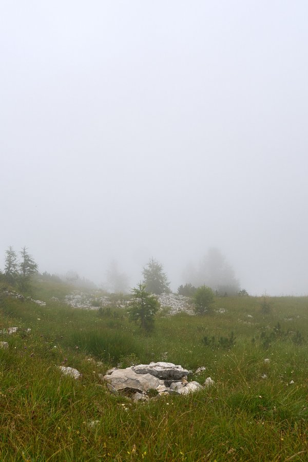 Berchtesgaden (DE), Kehlstein, Berghang -- 2024 -- 0299