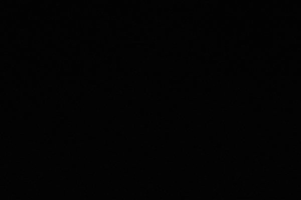 Sony Alpha 9 II, ISO 32000 (TWK) -- 2024 -- 0029