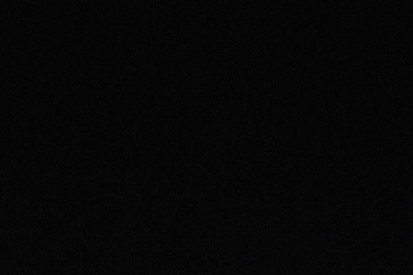 Sony Alpha 9 II, ISO 64000 (TWK) -- 2024 -- 0032